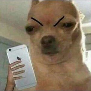 Meet your Posher, Kaylie